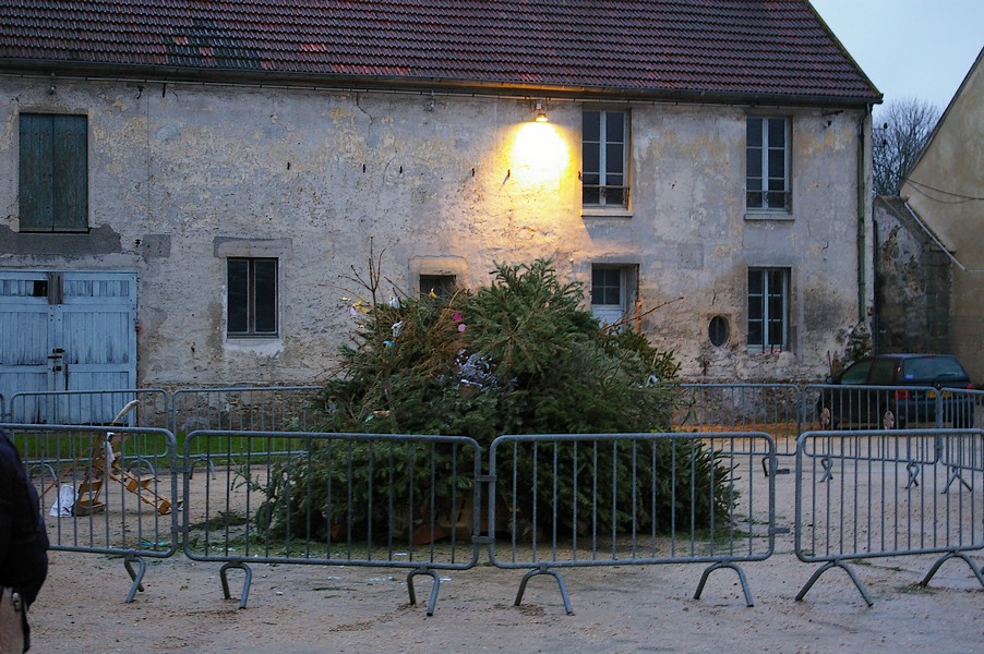 Sapins Galette et cidre: feu de joie sapins 005